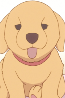 Roku Gotou