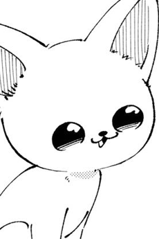 Pochi